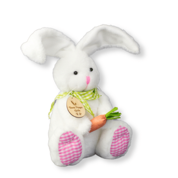 Coniglietto pasquale di peluche Idea regalo Pasqua